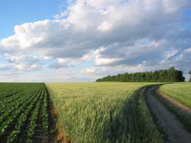 "Weitblick" v. G.Blemenschitz; Zeitraeume: Betriebliche Sozialberatung, Coaching und Supervision